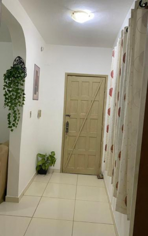 Apartamento amplo de 1 quarto